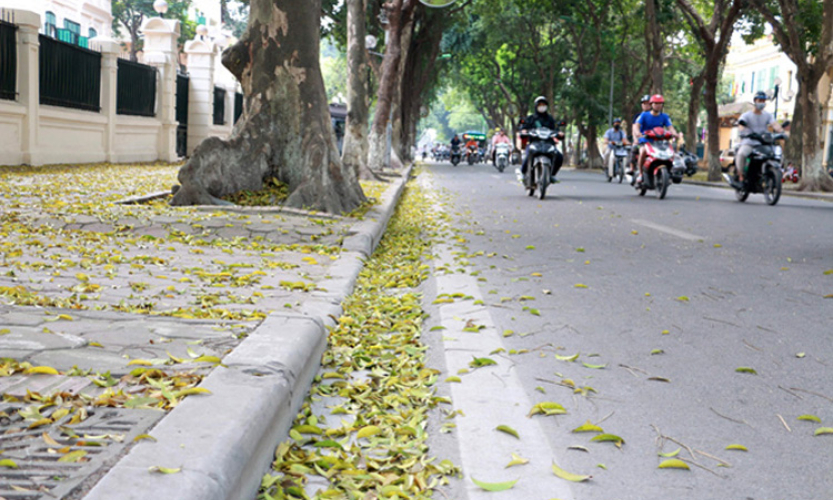 Bắc Bộ nhiệt độ tăng dần, Nam Bộ nắng nóng