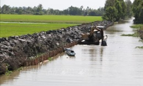 Phát triển bền vững Đồng bằng sông Cửu Long thích ứng với biến đổi khí hậu