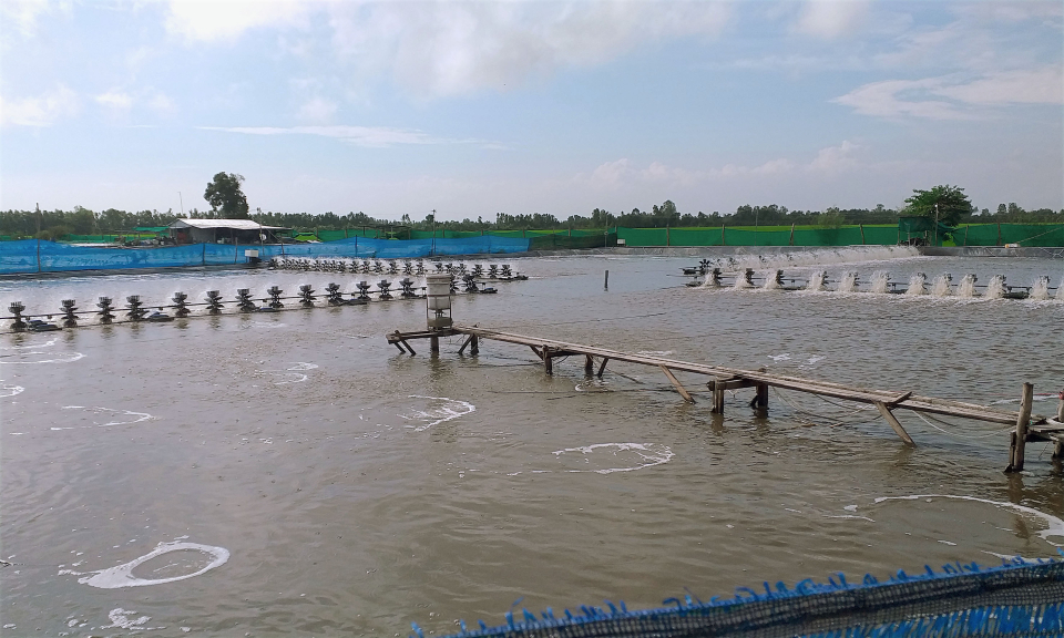 Sở Nông nghiệp và Phát triển nông thôn khảo sát tình hình nuôi thủy sản trên địa bàn huyện Tân Thạnh