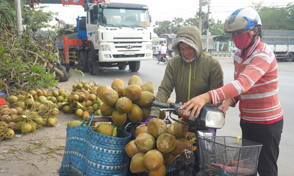 Thời tiết nắng nóng nên dừa tươi, rau má tăng giá