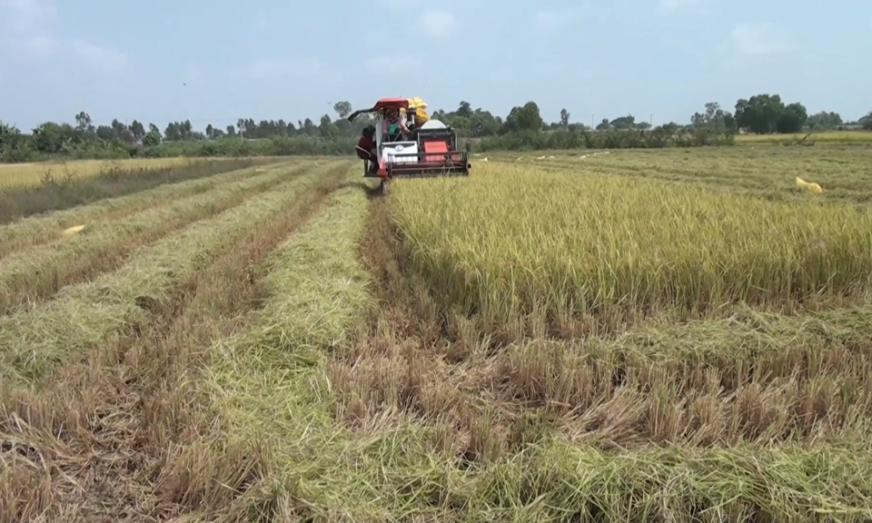 Bí thư Huyện ủy Tân Hưng làm việc với xã Hưng Hà về phát triển KT-XH