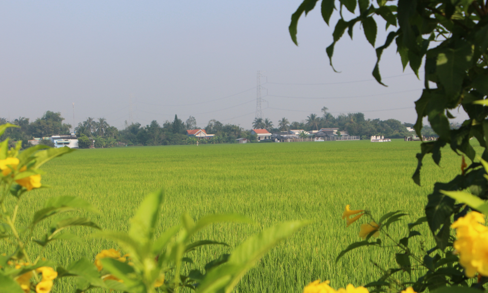 Tân Trụ: đặt mục tiêu 50% xã đạt nông thôn mới nâng cao vào năm 2025