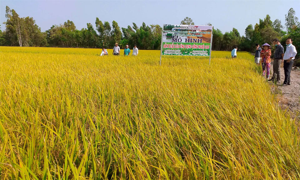 Tân Thạnh: Hội thảo lúa ứng dụng công nghệ cao tại xã Tân Lập