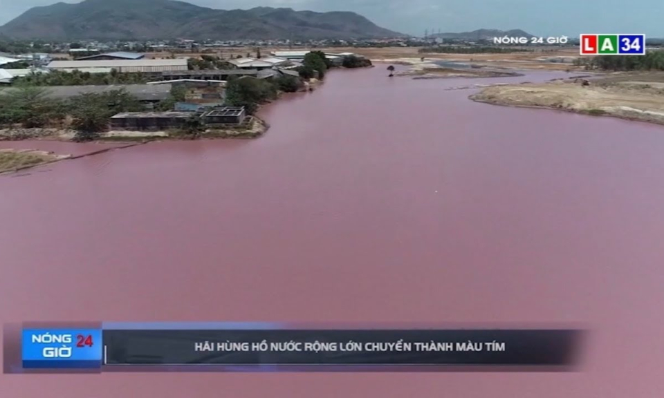 Hãi hùng hồ nước rộng lớn chuyển thành màu tím