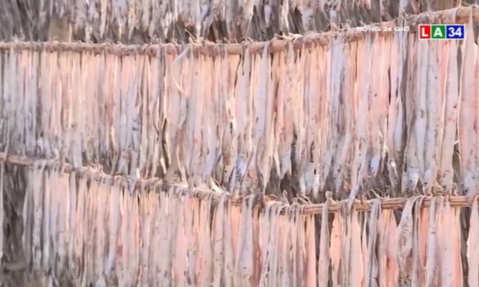 Nhộn nhịp mùa cá hố khô trên biển Cà Mau