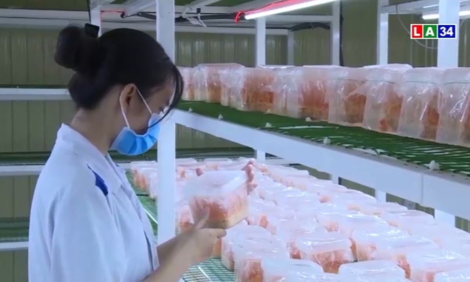 Long An công nhận thêm 3 sản phẩm OCOP