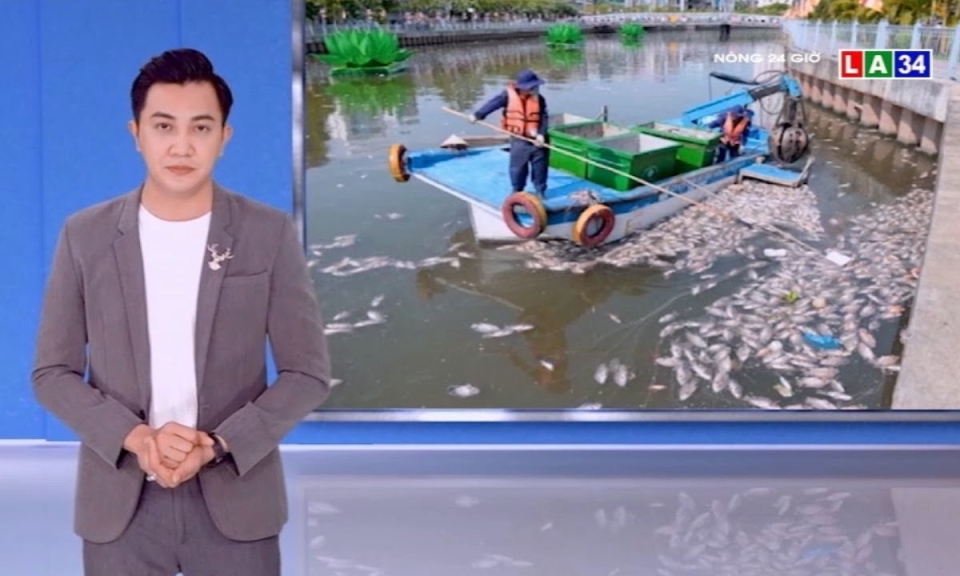 Hai cơn mưa trái mùa làm cá chết hàng loạt trên kênh Nhiêu Lộc &#8211; Thị Nghè