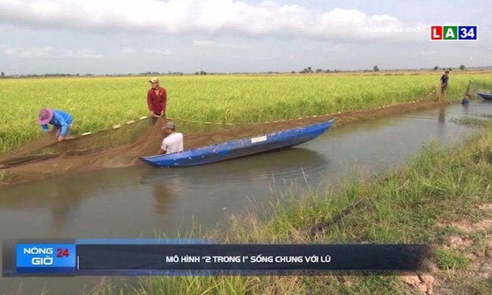 Mô hình &#8220;2 trong 1&#8221; sống chung với lũ