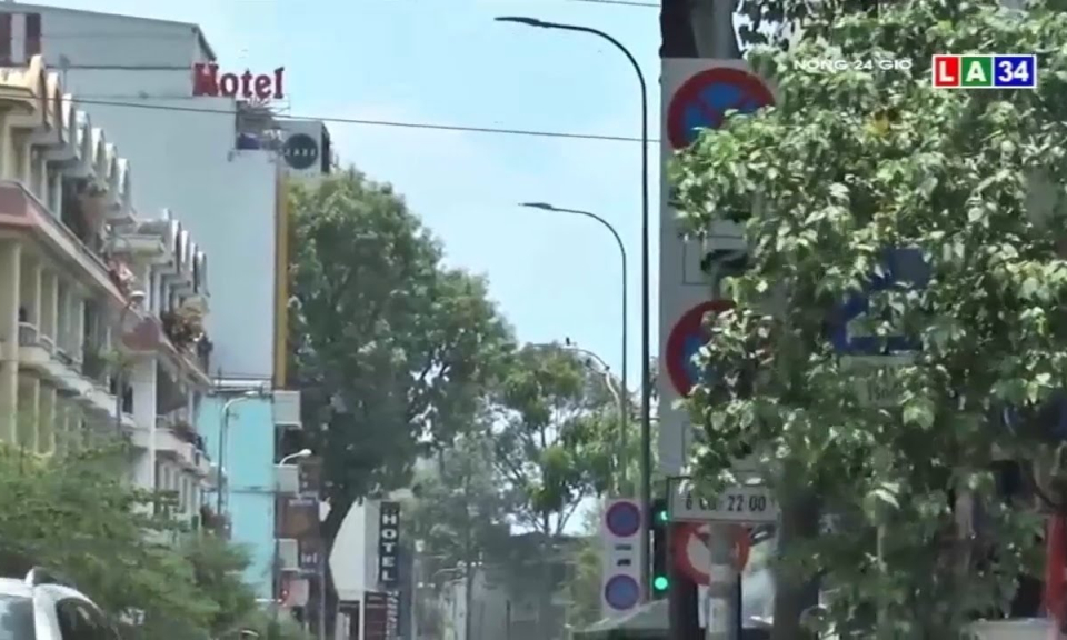 Khi những biển báo giao thông &#8220;núp&#8221; lùm cây