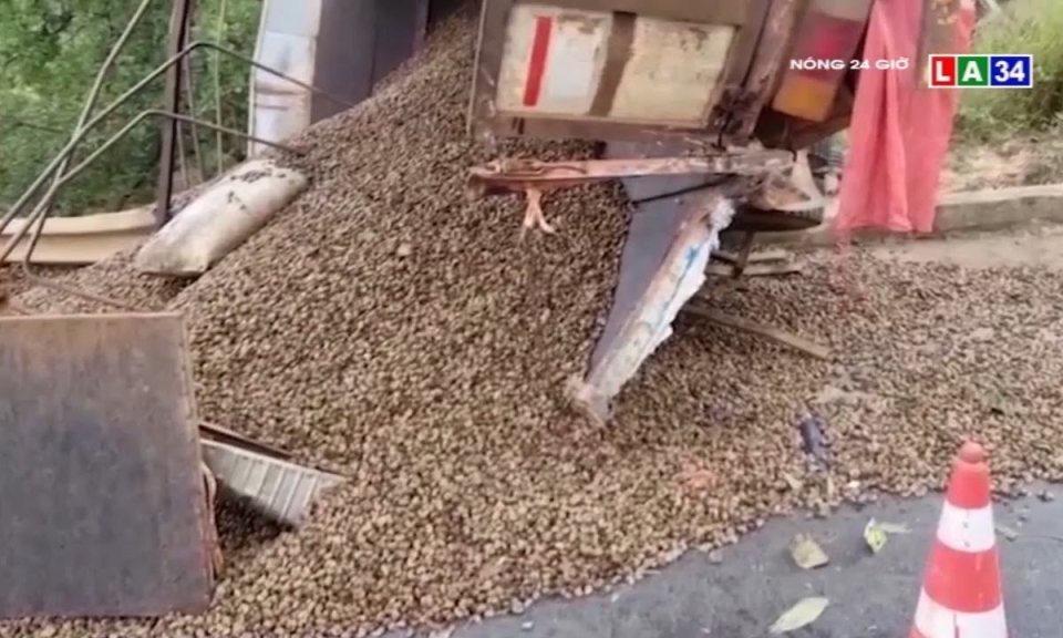 Xe tải bị lật, người dân gom giúp tài xế hàng chục tấn hạt điều