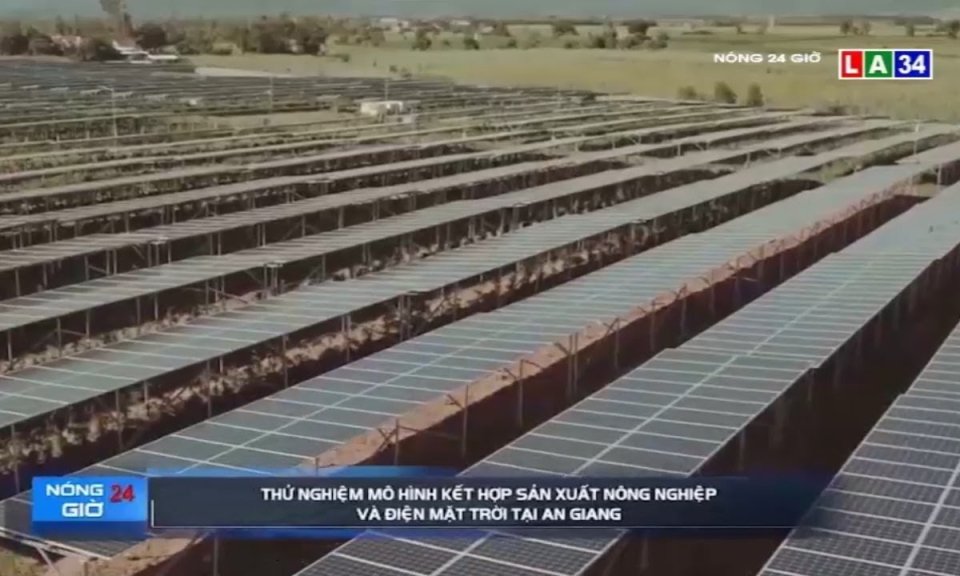 Thử nghiệm mô hình kết hợp sản xuất nông nghiệp và điện mặt trời tại An Giang