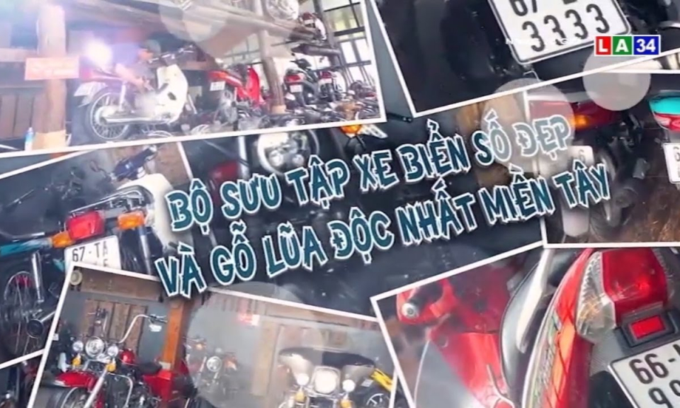 Bộ sưu tập xe biển số siêu đẹp và gỗ lũa độc nhất miền Tây