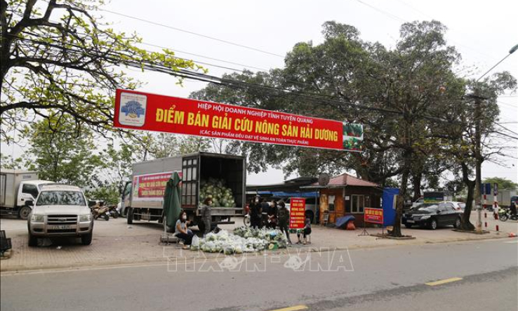 Tiêu thụ nông sản trong tình huống khẩn cấp &#8211; Hệ quả từ đối lập tư duy