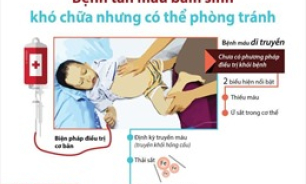 Tăng cường nhận thức về bệnh tan máu bẩm sinh nhằm nâng cao chất lượng dân số