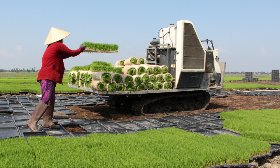 Nông nghiệp Long An: Mở rộng ứng dụng công nghệ cao trên 4 cây, 2 con