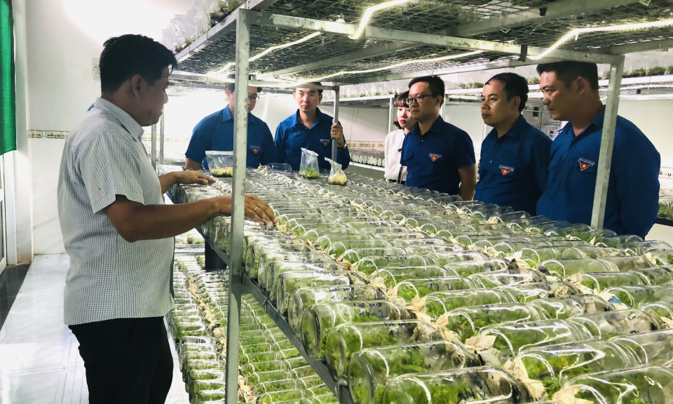 Kiểm tra thực hiện Đề án “Thanh niên khởi nghiệp giai đoạn 2019 &#8211; 2022” tại Cần Giuộc