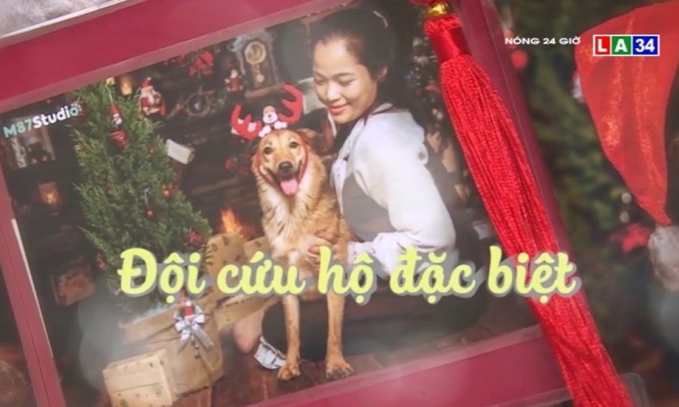 Đội cứu hộ đặc biệt