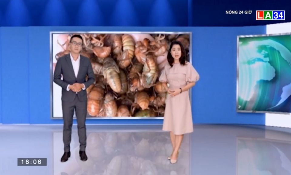 Ăn ve sầu, nam thanh niên suýt mất mạng
