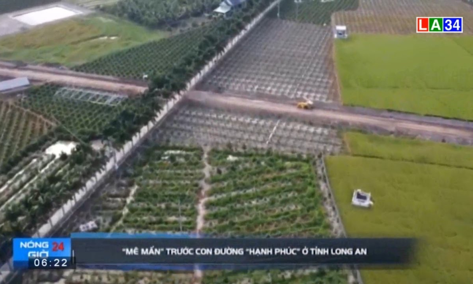 Mê mẩn trước con đường &#8220;hạnh phúc&#8221; ở huyện Tân Trụ, tỉnh Long An
