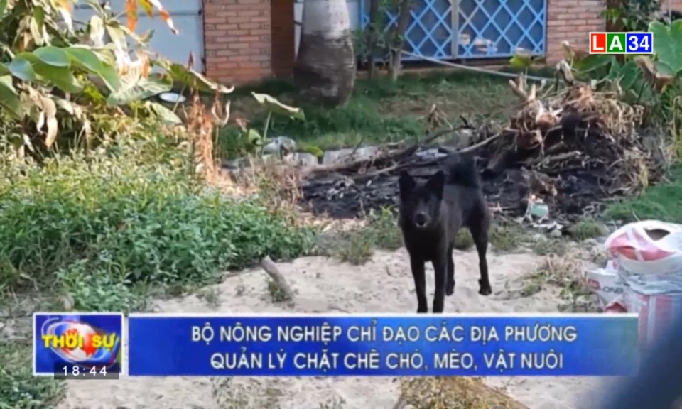 Cần quản lý chặt chẽ chó, mèo, vật nuôi trên địa bàn