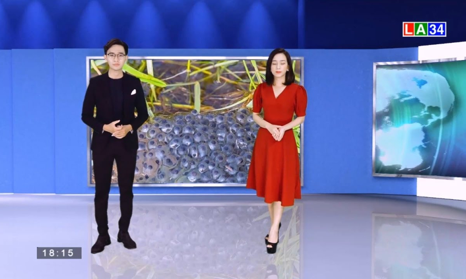 Ông chết, hai cháu nhập viện nghi ngộ độc trứng cóc