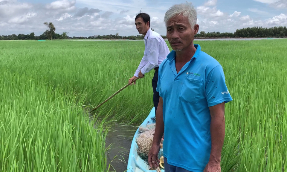 Tân Hưng: Bàn về liên kết sản xuất và bao tiêu thu mua lúa mùa nổi