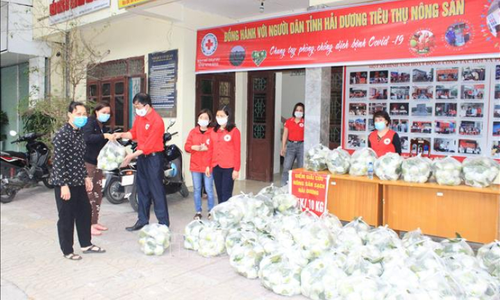 Sẽ lập tổ liên ngành giải quyết vướng mắc trong sản xuất, tiêu thụ nông sản