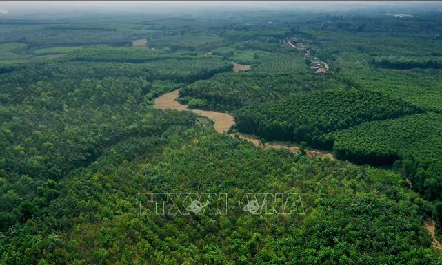 Cấp bách các giải pháp phòng, chữa cháy rừng