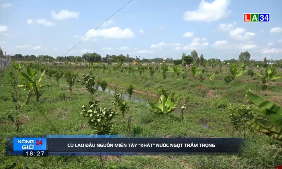 Cù lao đầu nguồn miền Tây &#8220;khát&#8221; nước ngọt trầm trọng