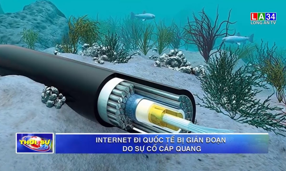 Internet đi quốc tế bị gián đoạn do sự cố cáp quang