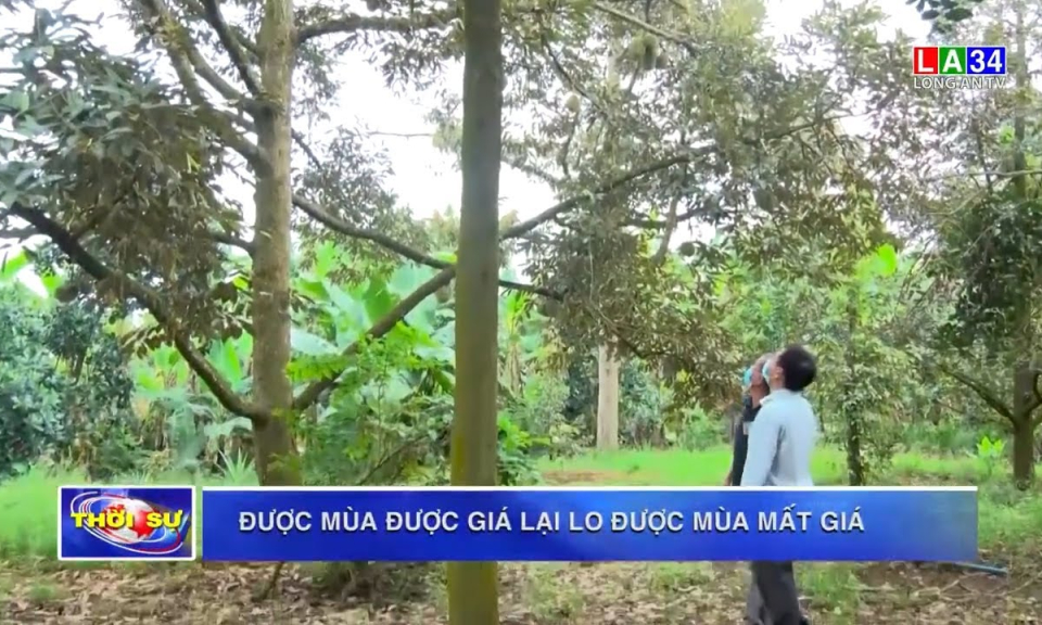 Được mùa được giá, nông dân lại lo được mùa mất giá do ảnh hưởng của dịch Covid-19