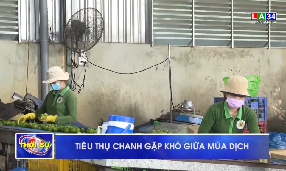 Tiêu thụ chanh gặp khó giữa mùa dịch