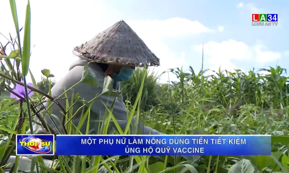 Một phụ nữ làm nông dùng tiền tiết kiệm ủng hộ Quỹ vaccine
