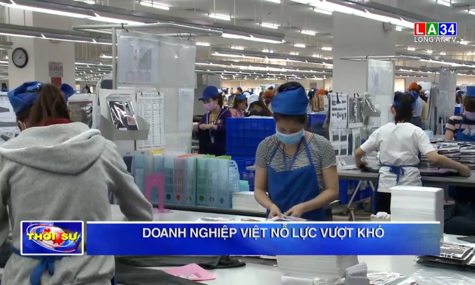 Doanh nghiệp Việt nỗ lực vượt khó