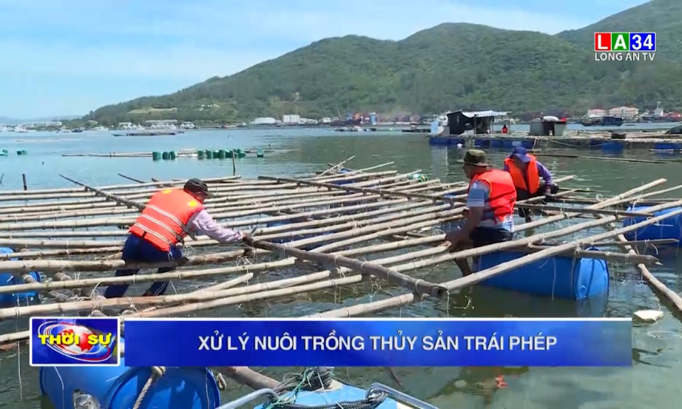 Xử lý nuôi trồng thủy sản trái phép