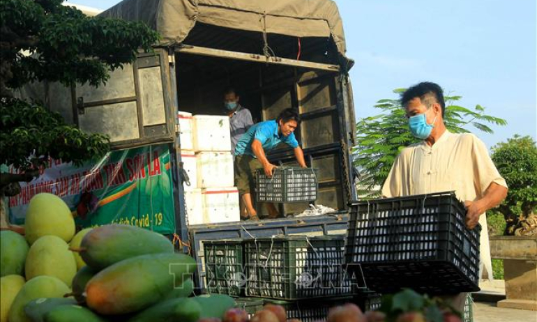 Tránh &#8216;đứt gãy&#8217; vận chuyển hàng hóa mùa dịch