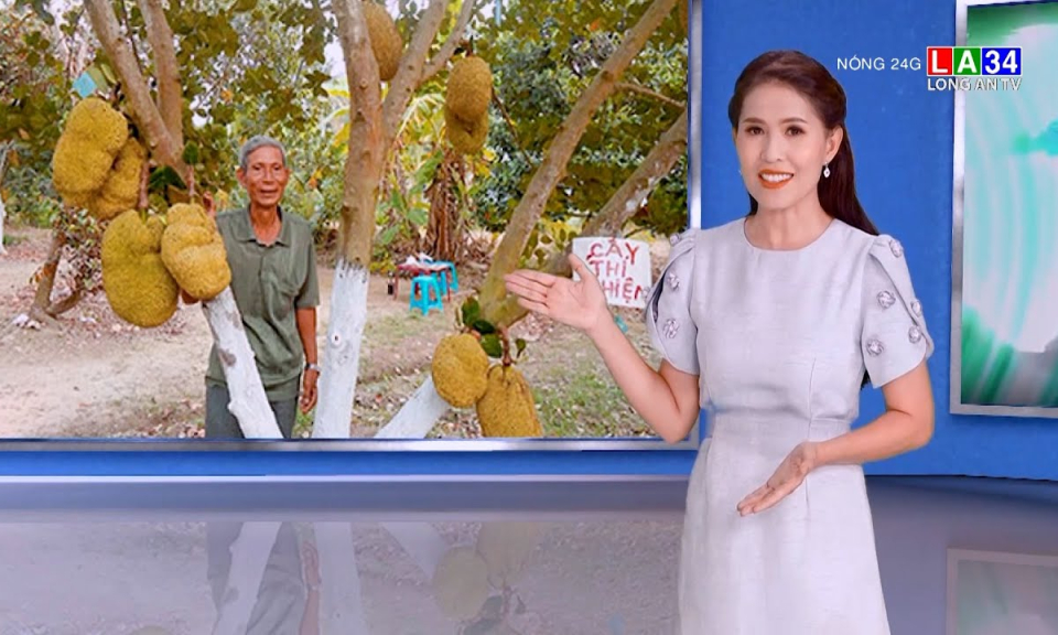 Lão nông thu tiền tỷ mỗi năm nhờ giống mít &#8220;lạ&#8221;