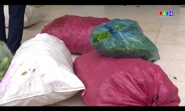 Hỗ trợ bếp ăn phục vụ bệnh viện dã chiến và khu cách ly