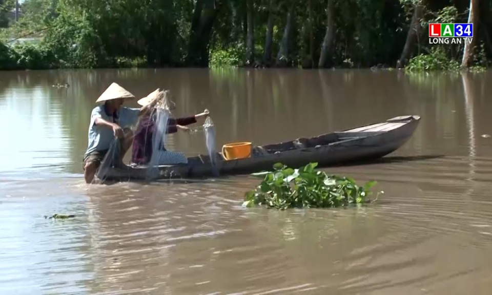 Ít có khả năng xuất hiện lũ sớm ở ĐBSCL