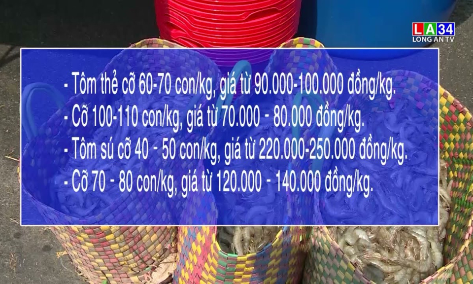 Chợ Bình Điền đóng cửa, nông dân nuôi tôm ở Long An gặp khó khăn đầu ra
