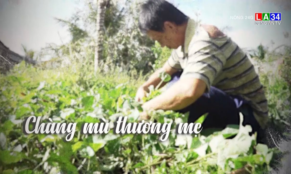 Chàng mù thương mẹ