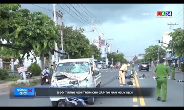 2 đối tượng nghi trộm chó gặp tai nạn nguy kịch