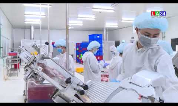 Long An: 11.000 người lao động hợp đồng bị gián đoạn công việc được trợ cấp do Covid-19