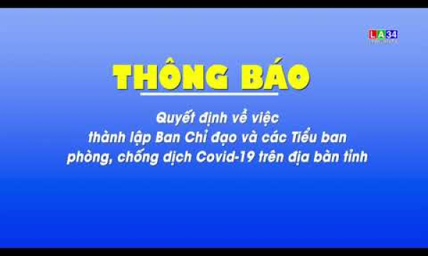 Thành lập Ban chỉ đạo và các Tiểu ban phòng, chống dịch Covid-19 trên địa bàn tỉnh