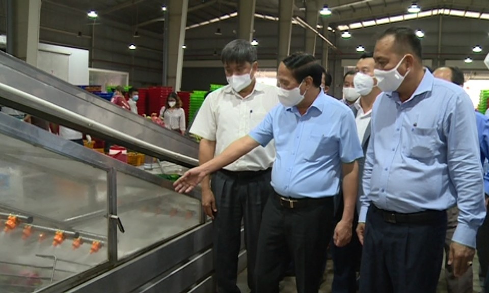 Phó Thủ tướng Lê Văn Thành kiểm tra công tác phòng, chống dịch tại Long An