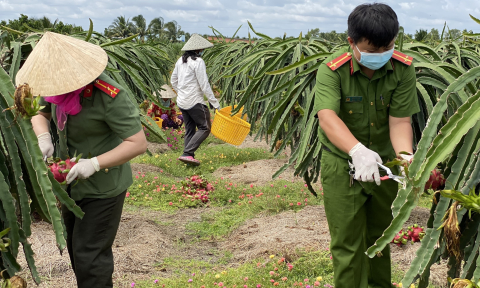 Đoàn viên thanh niên công an TP Tân An trên tuyến đầu chống dịch