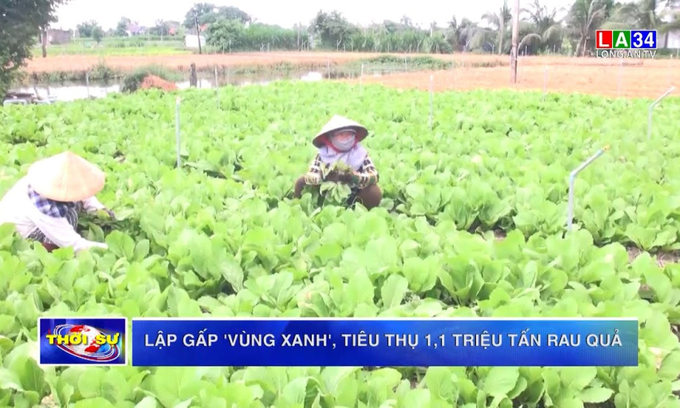 Lập gấp &#8220;vùng xanh&#8221;, tiêu thụ 1,1 triệu tấn rau quả