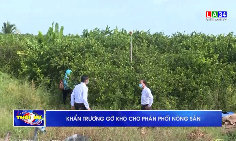 Khẩn trương gỡ khó cho phân phối nông sản