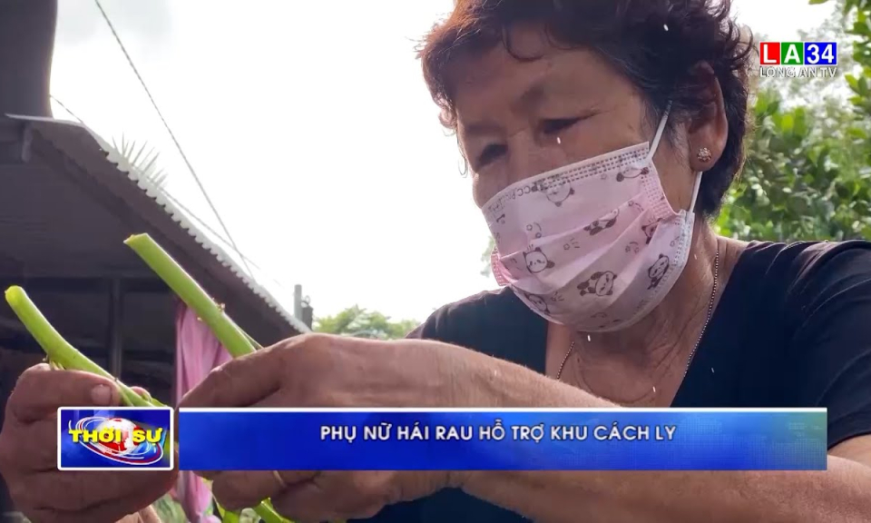 Phụ nữ hái rau hỗ trợ khu cách ly