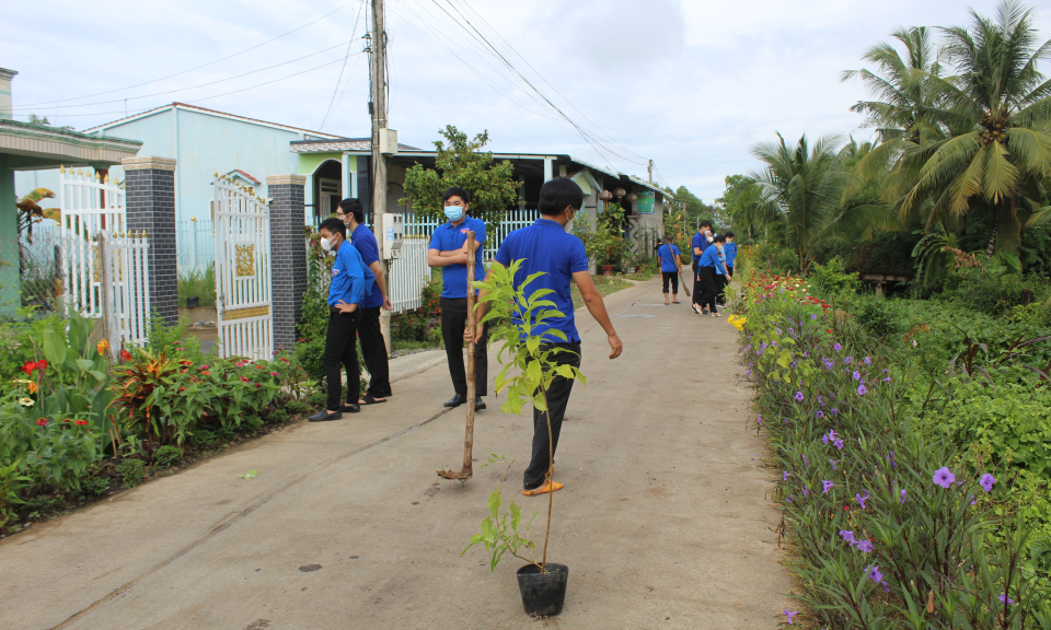 Đức Huệ tổ chức các hoạt động Ngày chủ nhật xanh